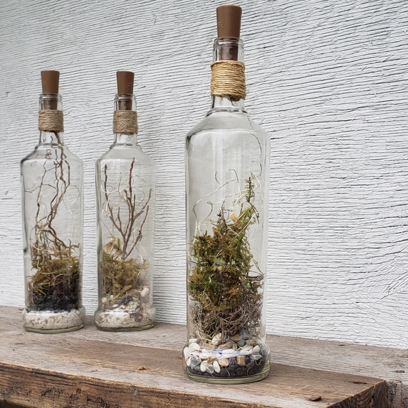 Dried Moss Terrarium Bottle Light - Picture 1 of 7